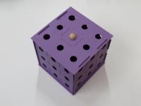 3D Labyrinthwrfel Violett